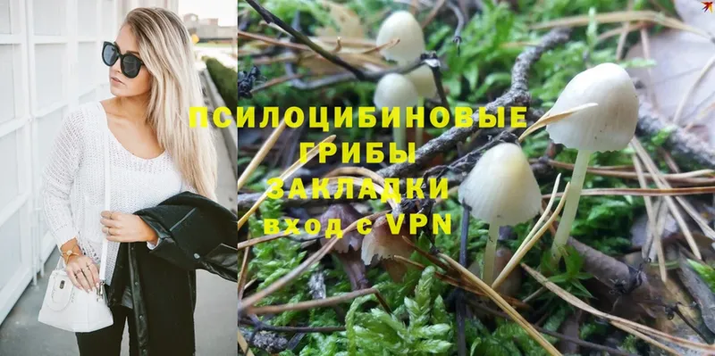 Псилоцибиновые грибы Magic Shrooms  hydra сайт  Апрелевка  где можно купить наркотик 